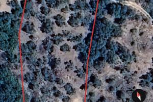 Terreno coltivato ad Uliveto