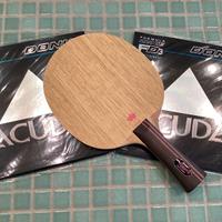 Racchetta ping pong professionale STIGA / DONIC