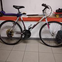 Bici mountain bike