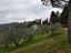 Immagine 18