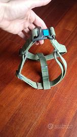 accessori cane