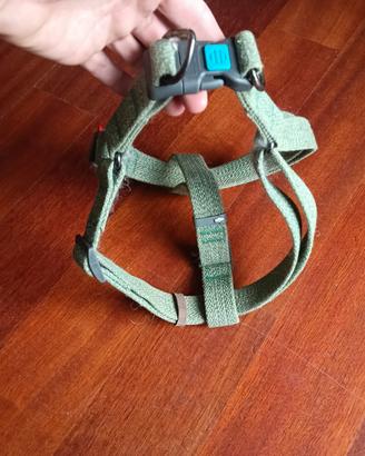 accessori cane
