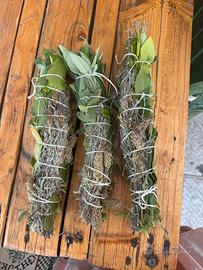 Mix di salvia , rozmarino , alloro