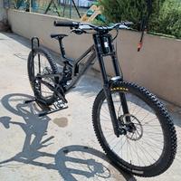 Santa cruz v10