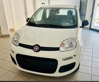 Fiat Pandina Icon *Nuova*
