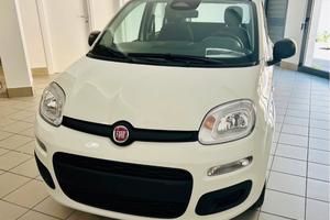 Fiat Pandina Icon *Nuova*
