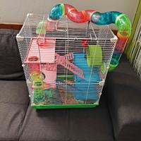 gabbietta per criceto