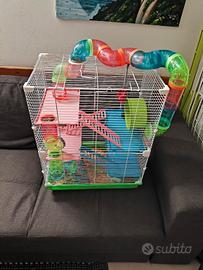 gabbietta per criceto