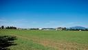 bilocale-ampio-a-stezzano