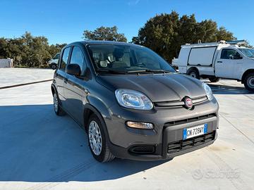 FIAT PANDA  1.0 FireFly S&S Hybrid