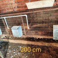 Gabbie per conigli usate