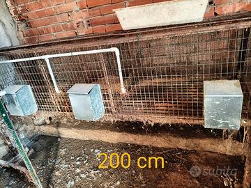 Gabbie per conigli usate