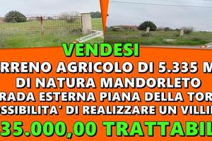 Terreno agricolo