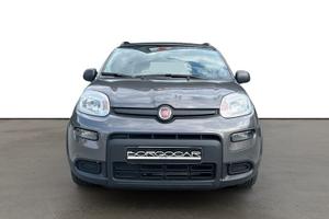 FIAT Panda 1.0 FireFly 70cv S&S Hybrid City Life