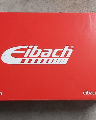 molle eibach vw polo aw1 