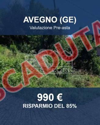 Immobile in asta di 1968 m² a Avegno