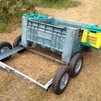 Carrello porta bins