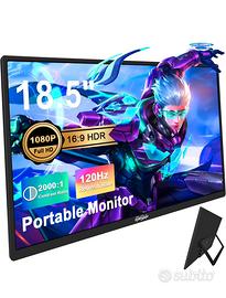 Monitor portatile