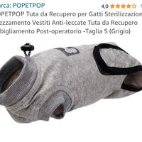 Body post operatorio gatto