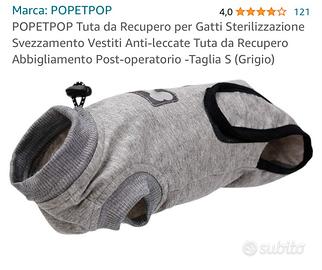 Body post operatorio gatto