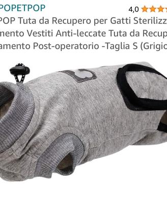 Body post operatorio gatto