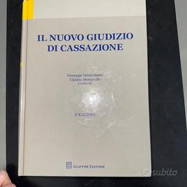 Il nuovo giudizio di Cassazione