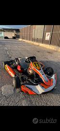 kart 125 kz Tm Sodi