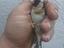 Immagine 4