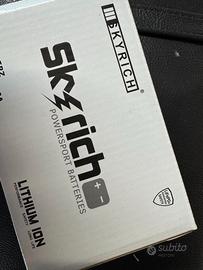 Batteria litio SKYRICH LifePo4 modello HJT9B-FP