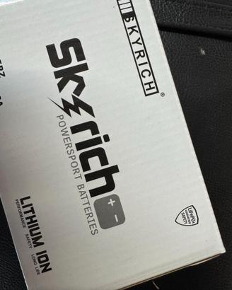 Batteria litio SKYRICH LifePo4 modello HJT9B-FP