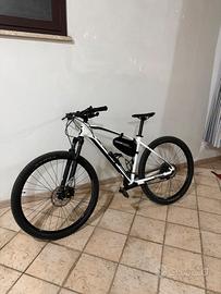 scott aspect 29 misura L