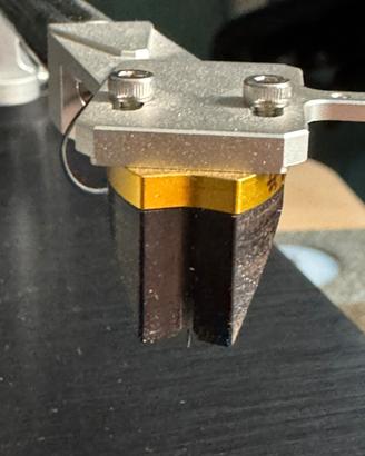 Testina audiomaster 21 gold bug