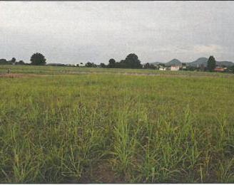 Immobile in asta di 690 m² a Monselice