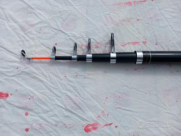 canna da scoglio e dpiaggia