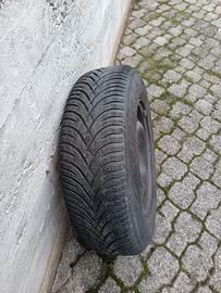 gomme più dishi