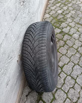 gomme più dishi