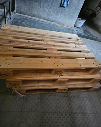 epal chiarissimi
