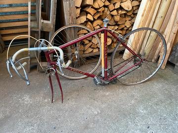 Biciclette vario genere pronte all’uso