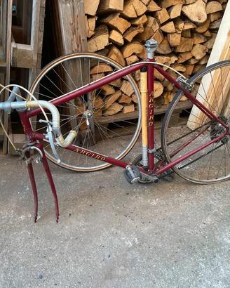 Biciclette vario genere pronte all’uso