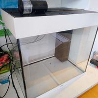 Acquario JUWEL Rio 125 Led