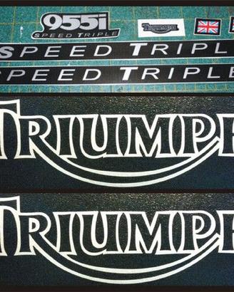 Adesivi Triumph Speed Triple955i (kit completo)