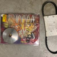 Variatore multivar malossi