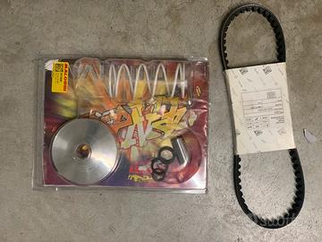 Variatore multivar malossi