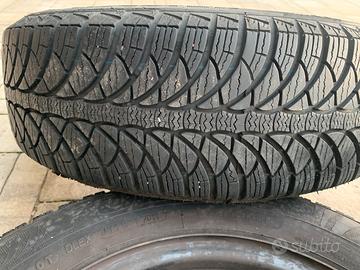 Gomme neve