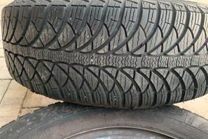 Gomme neve