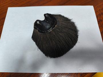 Vecchio paraspuzzo in crine di cavallo 