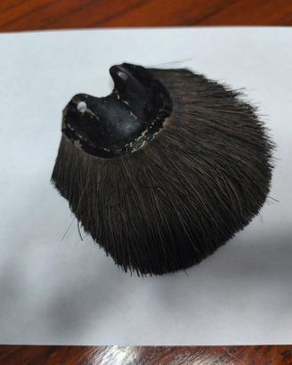 Vecchio paraspuzzo in crine di cavallo 