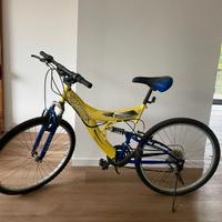bicicletta Finbike