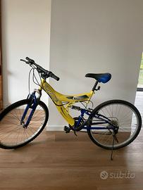 bicicletta Finbike