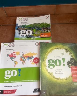 Libri di geografia 3*